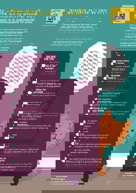 Adopting a cat checklist