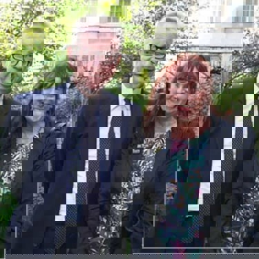 michael gove kitten sales